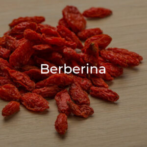 berberina