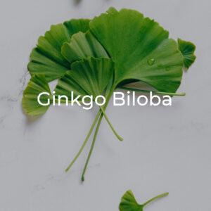 ginkgo-biloba