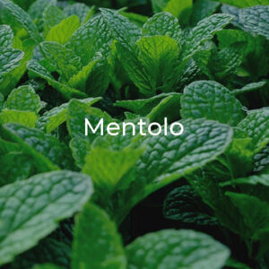 mentolo